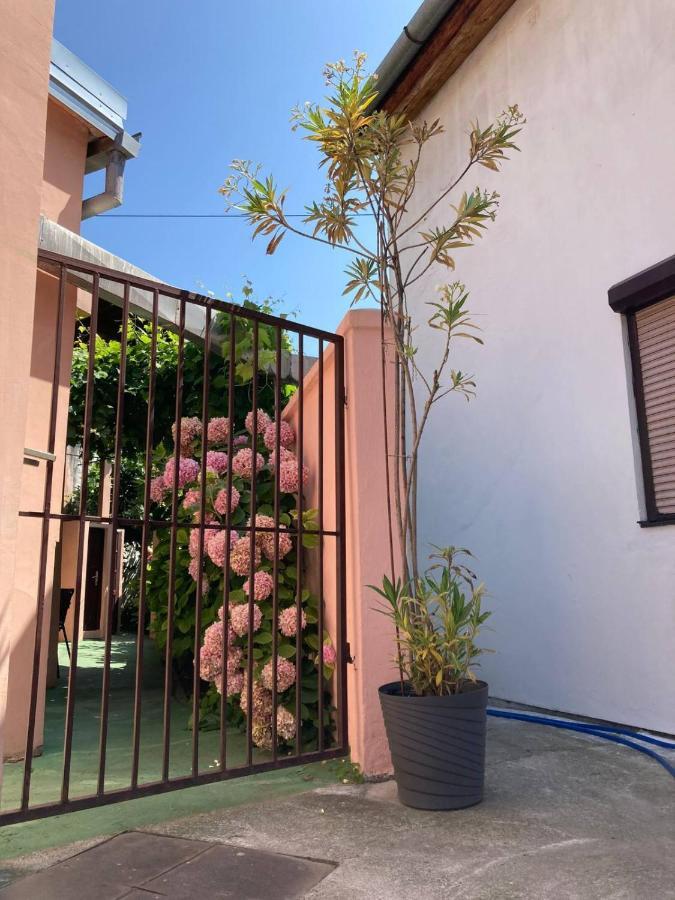 Apartment Dunja Center Welcome Novi Sad Exterior photo